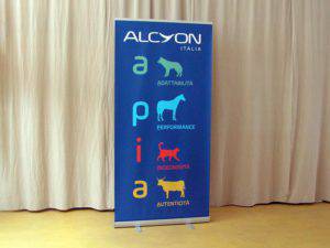 roll-up-silver-alcyon